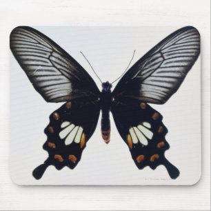 Schwarzer und brauner Schmetterling Mousepad