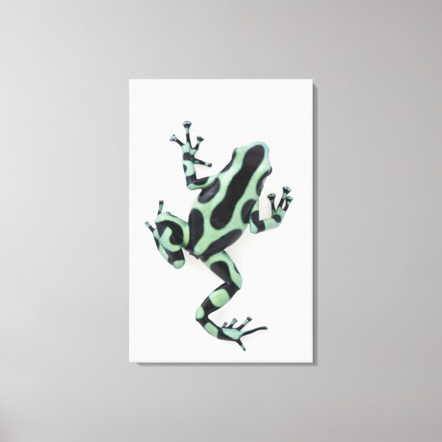 Schwarzer und grüner Gift-Dart-Frosch Leinwanddruck (Vorderseite)