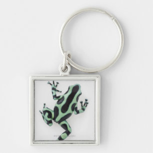 Schwarzer und grüner Gift-Pfeil-Frosch 2 Schlüsselanhänger