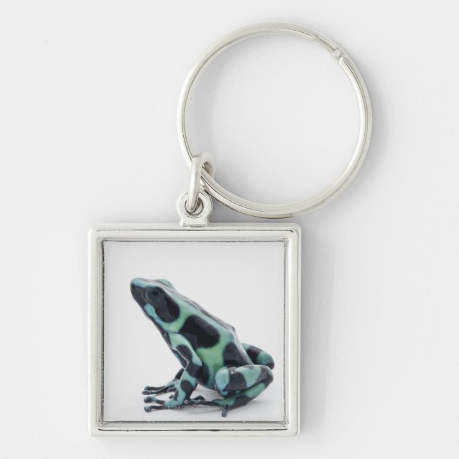 Schwarzer und grüner Gift-Pfeil-Frosch Schlüsselanhänger (Vorne)