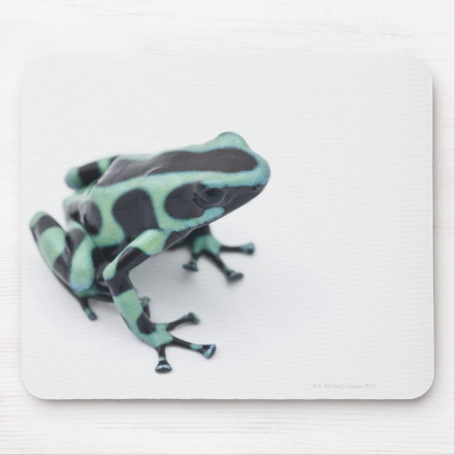 Schwarzer und grüner Giftdarmfrosch (Dendrobaten) Mousepad (Vorne)