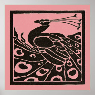 SCHWARZER UND ROSAFARBENER PFau Poster