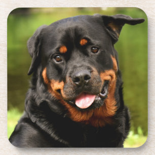 Schwarzer und Tan Rottweiler Welpenhund Getränkeuntersetzer