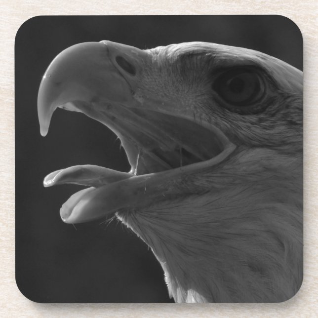 Schwarzer und weißer Adler Getränkeuntersetzer (Vorderseite)