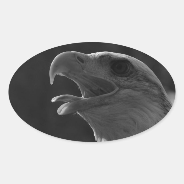 Schwarzer und weißer Adler Ovaler Aufkleber (Vorderseite)