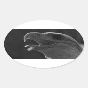 Schwarzer und weißer Adler Ovaler Aufkleber