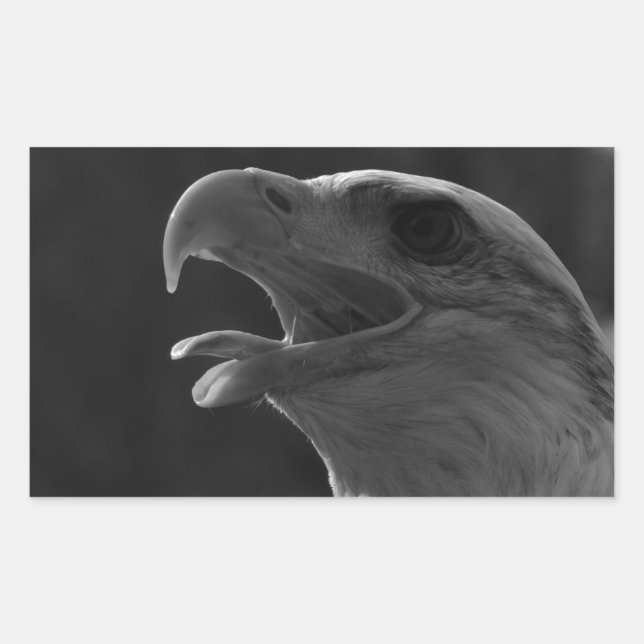 Schwarzer und weißer Adler Rechteckiger Aufkleber (Vorderseite)