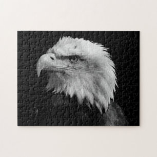 Schwarzer und weißer Adler - Tiere Kunst