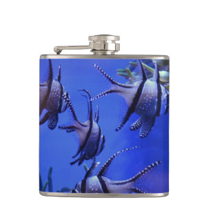 Schwarzer und weißer Angelfisch im tiefen Blauen  Flachmann