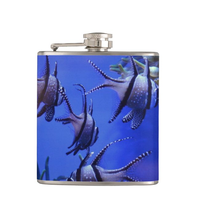 Schwarzer und weißer Angelfisch im tiefen Blauen M Flachmann (Vorderseite)