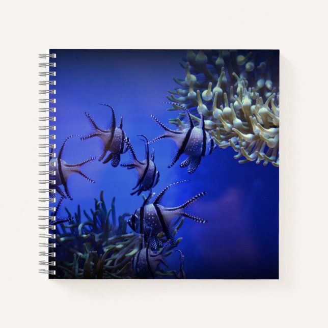 Schwarzer und weißer Angelfisch im tiefen Blauen M Notizbuch (Vorderseite)
