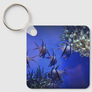 Schwarzer und weißer Angelfisch im tiefen Blauen M Schlüsselanhänger