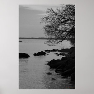 Schwarzer und weißer Baum über der Bucht #5845 Poster