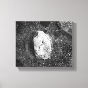 Schwarzer und weißer Felsen im Wasser 8x10 Leinwanddruck