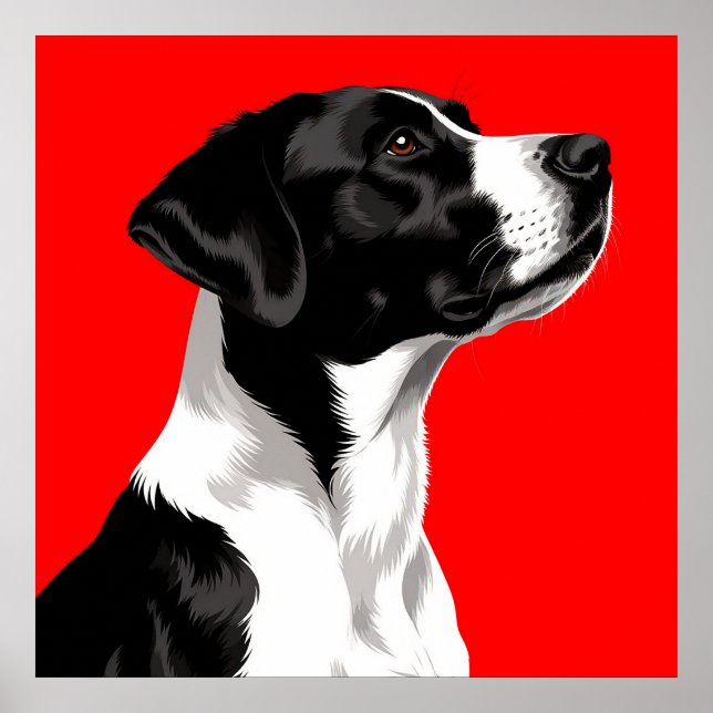 Schwarzer und weißer Hund auf fett rotem Hintergru Poster (Vorne)