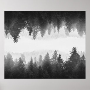Schwarzer und weißer nebliger gespiegelter Wald Poster