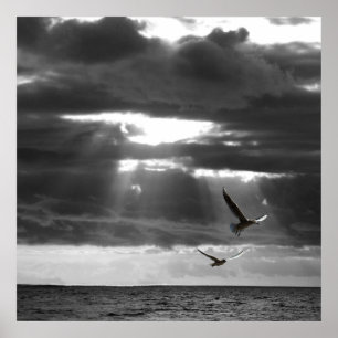 Schwarzer und Weißer Ozean Poster