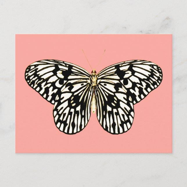 Schwarzer und weißer Schmetterling, korallenrosa H Postkarte (Vorderseite)