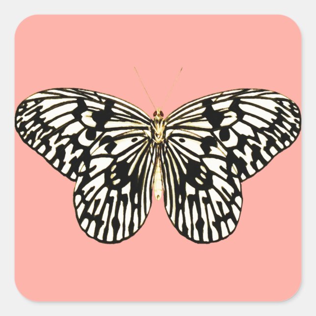 Schwarzer und weißer Schmetterling, korallenrosa H Quadratischer Aufkleber (Vorderseite)