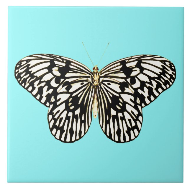 Schwarzer und weißer Schmetterling, türkischer Hin Fliese (Vorderseite)