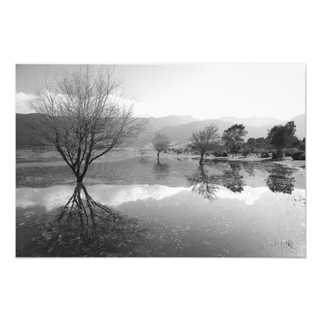 Schwarzer und weißer See Fotodruck (Vorne)