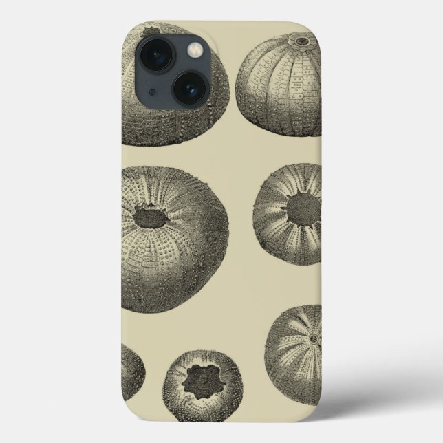 Schwarzer und Weißer Seeteufel Case-Mate iPhone Hülle (Rückseite)