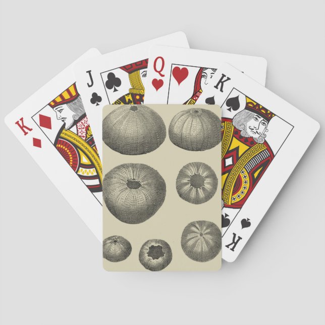 Schwarzer und Weißer Seeteufel Spielkarten (Rückseite)