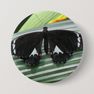 Schwarzer und weißer tropischer Schmetterling Button