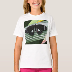 Schwarzer und weißer tropischer Schmetterling T-Shirt