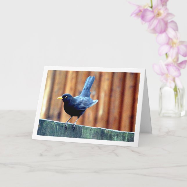 Schwarzer Vogel auf Zaun Karte (Orchidee)