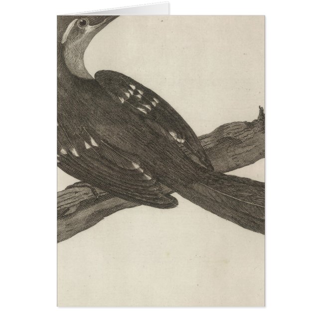 Schwarzer Vogel im französischen Hafen (Vorne)