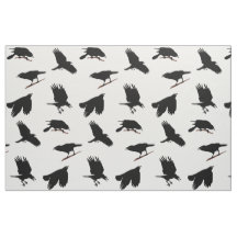 Schwarzer Vogel oder Zwerg, vielleicht Raw