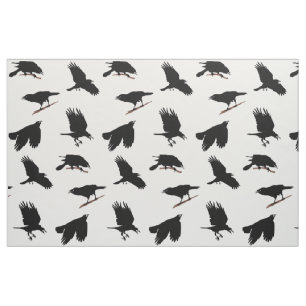 Schwarzer Vogel oder Zwerg, vielleicht Raw Stoff