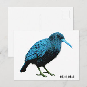 Schwarzer Vogel Postkarte