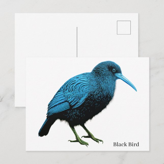 Schwarzer Vogel    Postkarte (Vorne/Hinten)