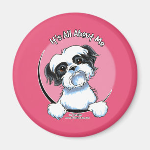 Schwarzer/weißer Shih Tzu IAAM Magnet