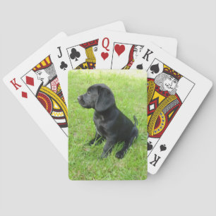Schwarzer Welpe.png Spielkarten