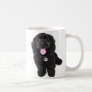 Schwarzer Welpe sucht Kaffeetasse