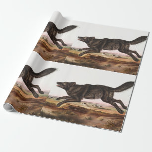 Schwarzer Wolf (Canis lupus) Illustration Geschenkpapier