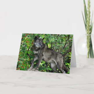 Schwarzer Wolf mit roter Beeren-Gruß-Karte Karte