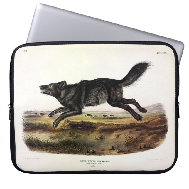 Schwarzer Wolf oder Schwarzer Amerikanischer Wolf  Laptopschutzhülle (Vorderseite)