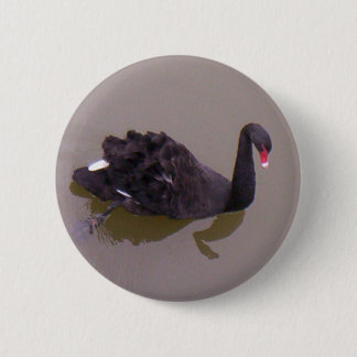 Schwärzerer Schwan Button