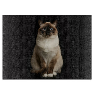 Schwarzes 4 Luxe Glas Schneidbrett Birmanische Kat Schneidebrett