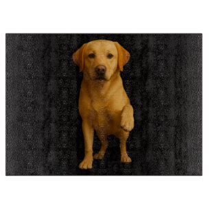 Schwarzes 4 Luxe Glas Schneidbrett Zartes Labrador Schneidebrett