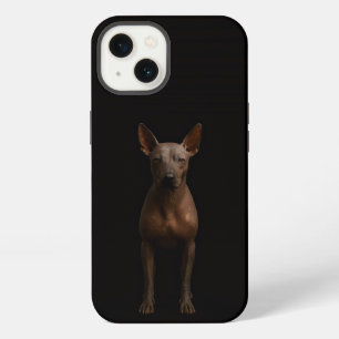 Schwarzes 4 Luxe iPhone 13, argentinischer Pila-Hu Hülle