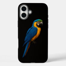 Schwarzes 4 Luxe iPhone 16 Plus, Blau-Gelber Ara