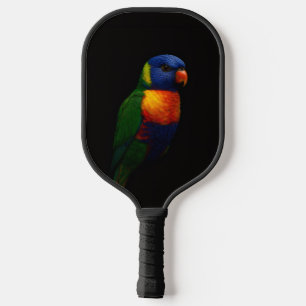Schwarzes 4 Luxe-Pickleball-Paddle, Lorikeet-Papag Pickleball Schläger