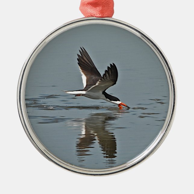 Schwarzes Abstreicheisen-Foto Ornament Aus Metall (Vorne)