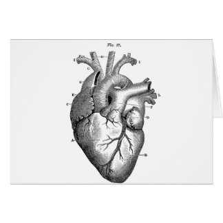 Schwarzes anatomisches Herz