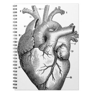 Schwarzes anatomisches Herz Notizblock